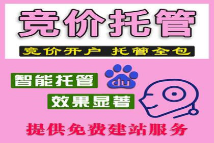 SEM广告案例解析：转化率提升策略